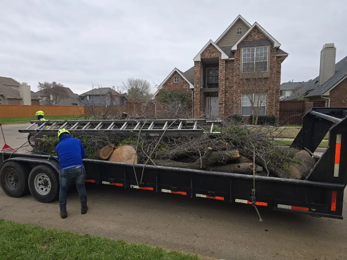 Expert Tree Fertilization with proper safety equipment in College Grove